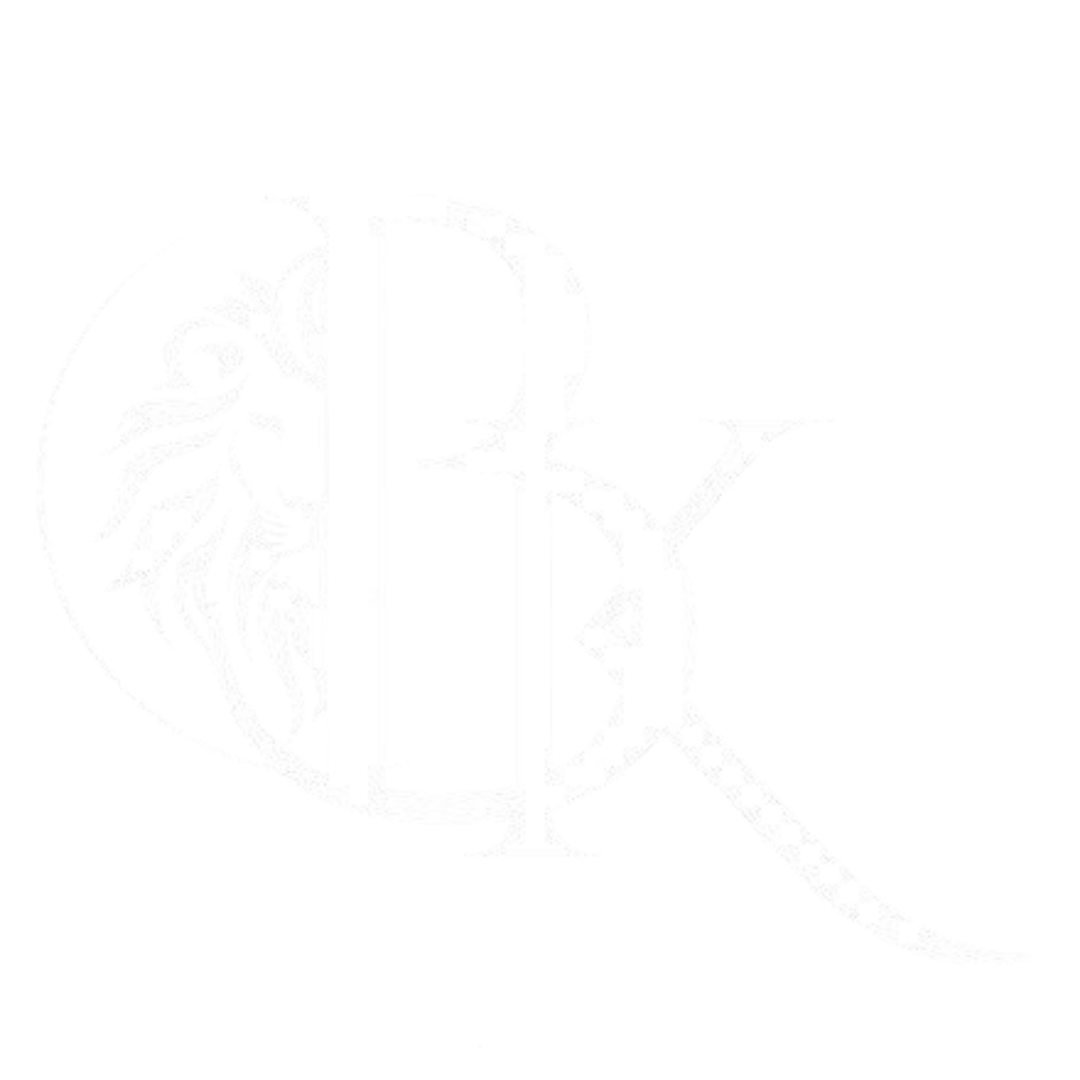 Brykon White Logo